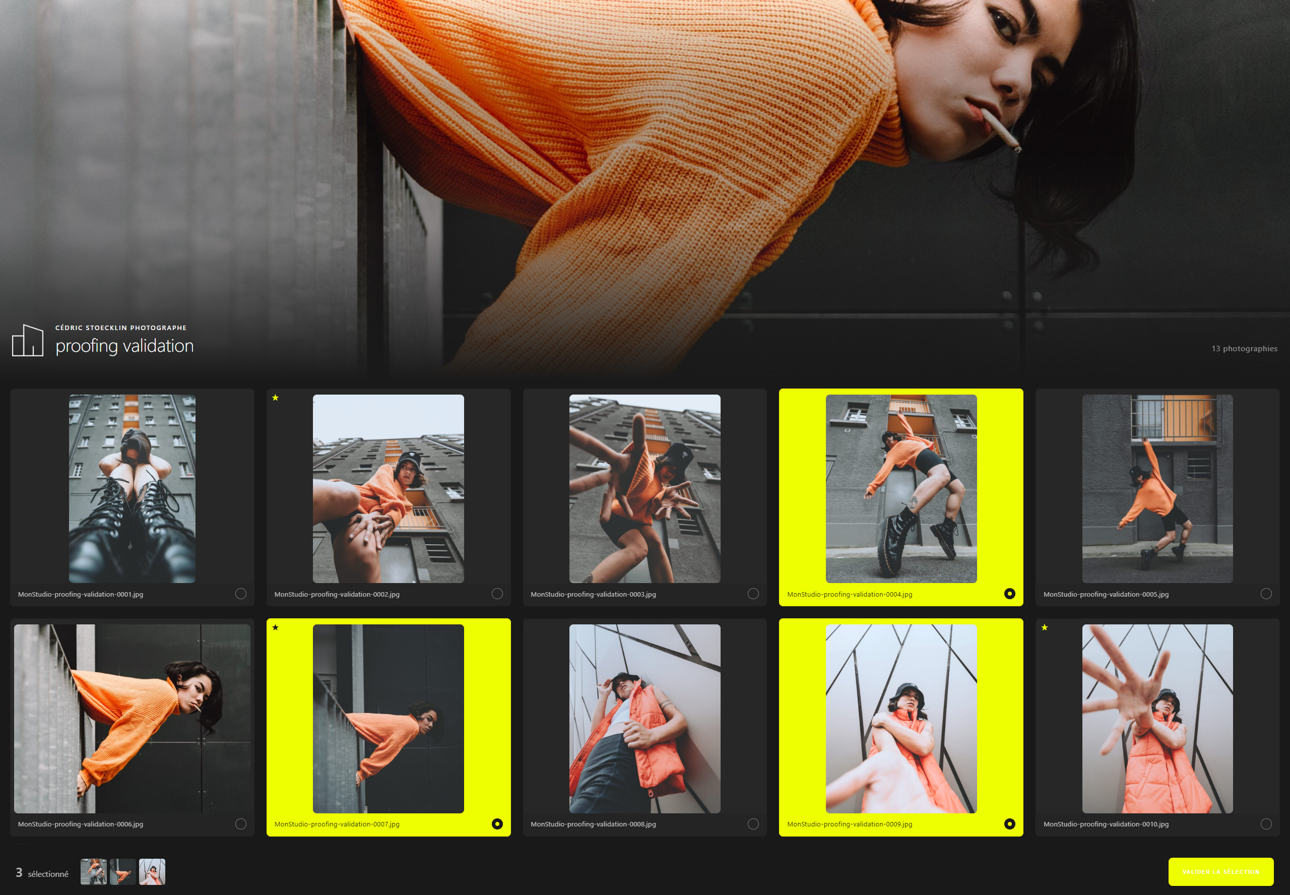 PhotoProof gallery preview